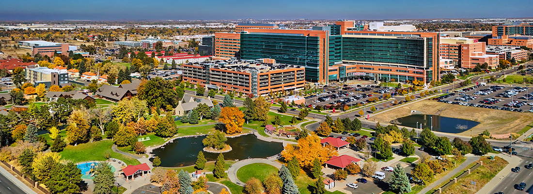 Thumbnail for Fair healthcare economies